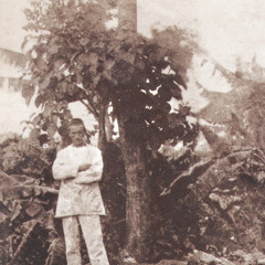 Jeremy Reed & The Ginger Light -Rimbaud's Formula