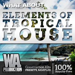 Elements Of Tropical House [I'm the DJ Mobile App]