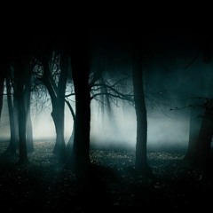 Dark Forest