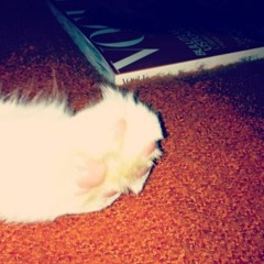 Ercan Erbas - As I Promise ( Orginal Mix)