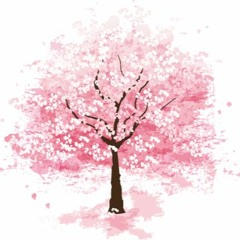 Sakura - Ikimono Gakari ( Music box )