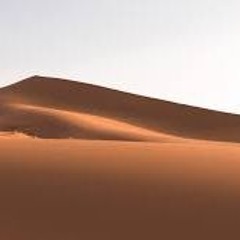 Deserttrot - Electro Trap