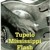 Artwork for Tupelo Mississipi Flash - Jerry Reed (cover by Simon Cheetham )