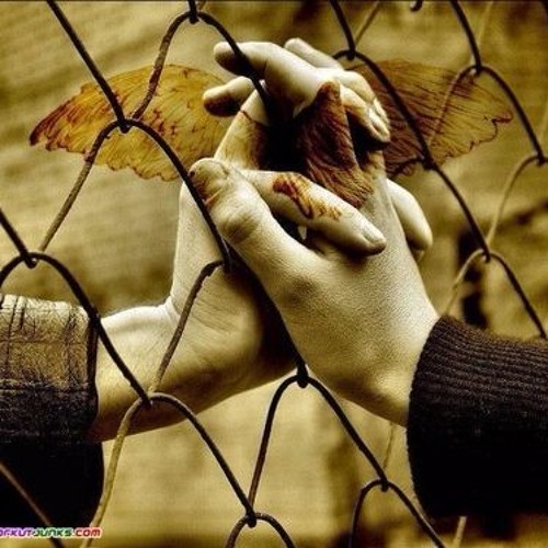 Jeeta Tha Jiske Liye Full Video Song  Dilwale  Ajay Devgan & Raveena Tandon  Kumar Sanu, Alka