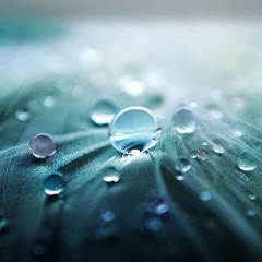 Rain - Relaxing Piano Music / Rain sounds / 528 Hz & 800 Hz