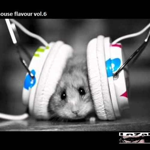 LoZaNo - Tech House Flavour Vol 6 (dj Set)