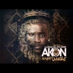 Akon - Used to Know (feat. Money J & Black Frost)