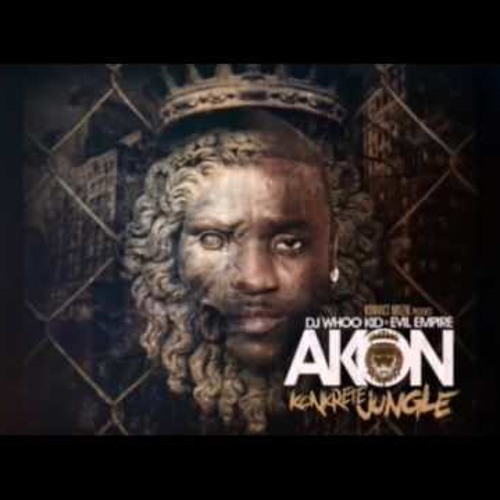 Akon - Used to Know (feat. Money J & Black Frost)