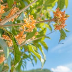 【#深夜の2時間DTM】お題：3連符を多用した曲