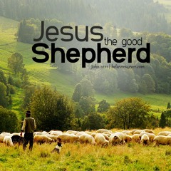 I know a Shepherd