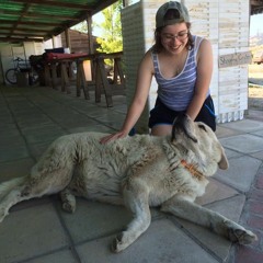 gravity don't pull me - rostam