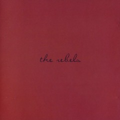 Prince- The Rebels - Too Long [1979] Unreleased Track