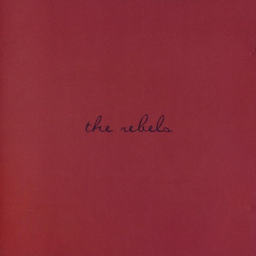 Prince- The Rebels - Too Long [1979] Unreleased Track