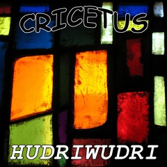 Cricetus - Hudriwudri