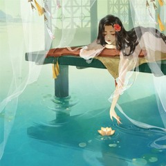fei wu