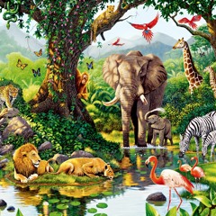Stuck in the Jungle