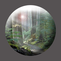 One Square Inch of Silence preview