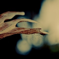 I WANNA HEAR YOUR HEART