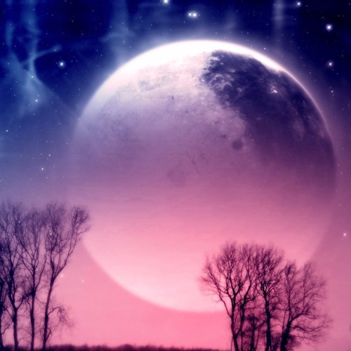 SizzleBird - The Sea