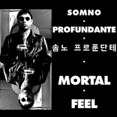 MORTAL FEEL CASSETTE/DIGITAL EP