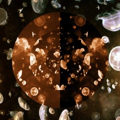 Cosmic Jagger