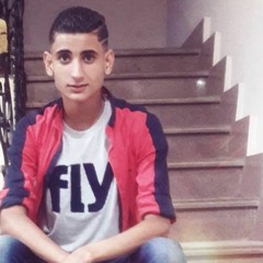 جميلتى