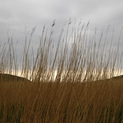 A Blustery Northerly Breeze Across The North Pond