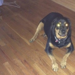 Slow Burn (demo instrumental)