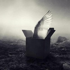 hichkas zende nist...هیچکس زنده نیست همه مردن...