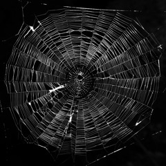 Run Away (Ungrateful) - Acoustic Version