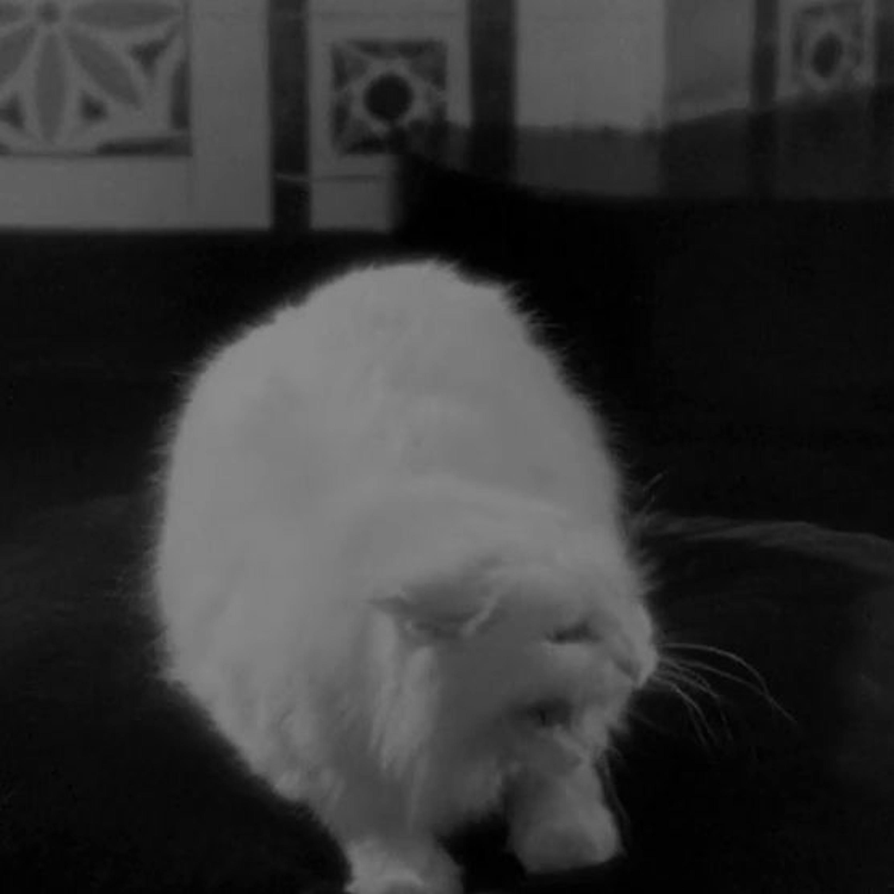 Episode 4 - The Cat Stays In The Picture! (1932)