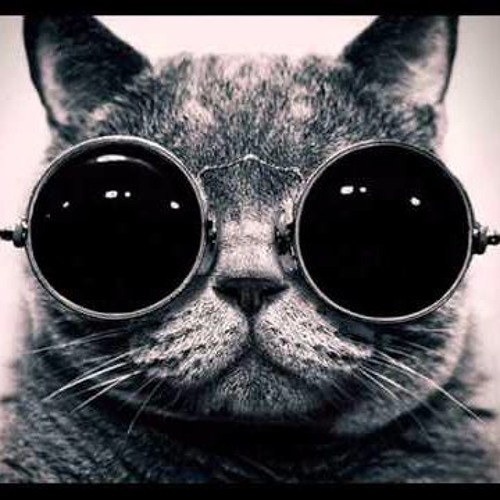 Best deep/tech house songs selected by DJ Das Boot