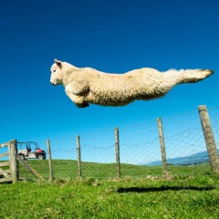 GOWZA - Puff Puff Pass (Produced by BERTOG)