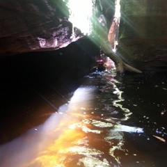 Fall Sounds Volume II