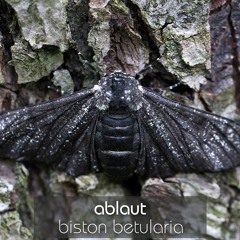 biston betularia (industrial evolution)