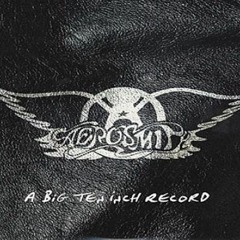 Aerosmith - Amazing (vocal Cover)