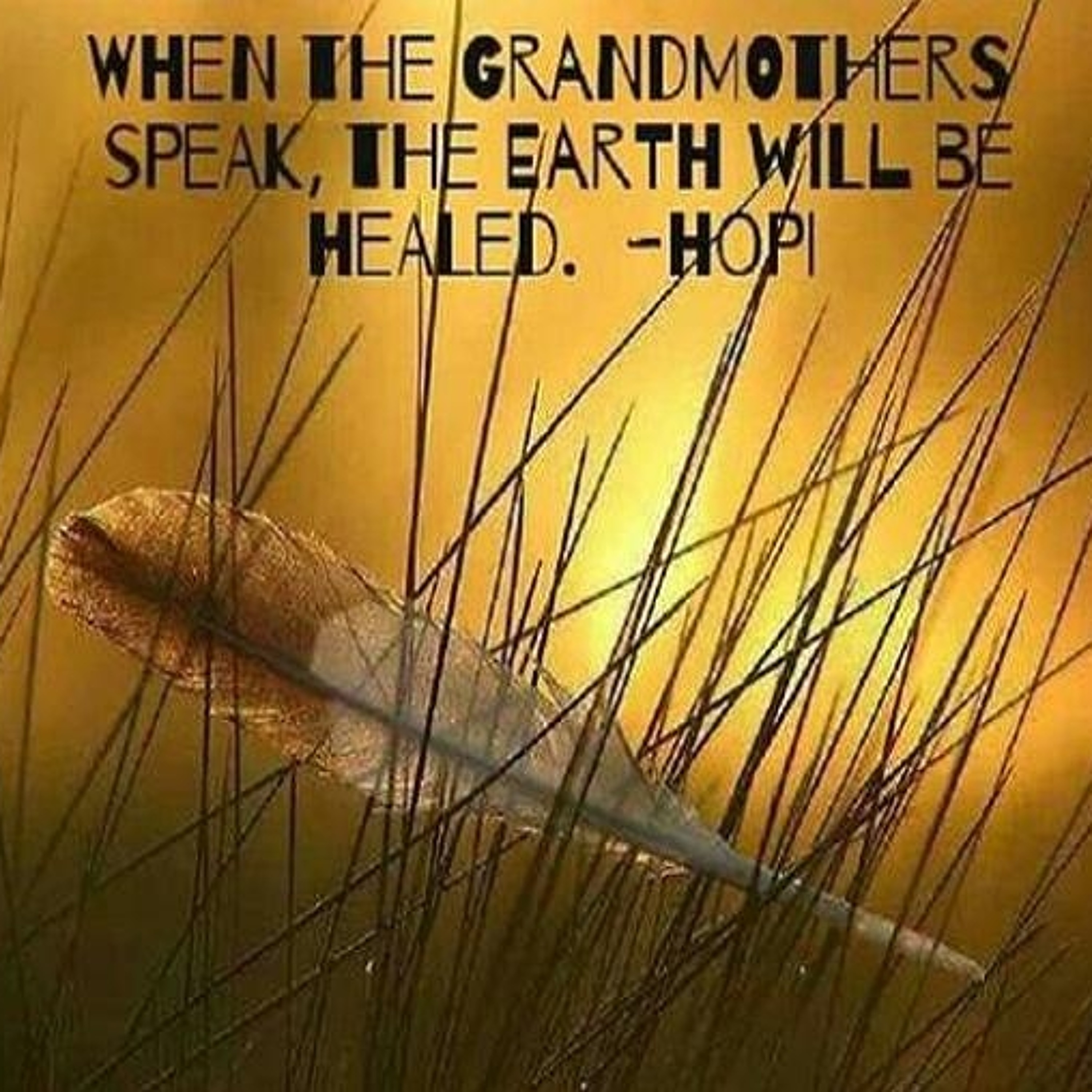 PROPHECY KEEPERZ… GRANDMOTHER BARBARA MORNINGSTAR [Ep.77] - The healing way of life [PODCAST] episode artwork