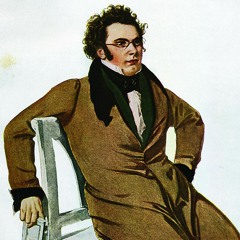 Schubert piano quintet the trout 2nd Andante