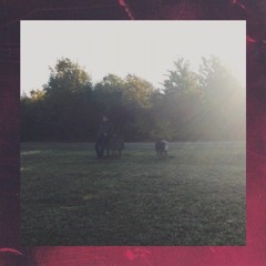 Eddý – Flair No.02 Redefinition