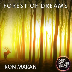 Deep House Space 91: Forest of Dreams(Ron Maran)