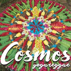 Clase Yoga 1