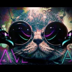 Neil Vontraxx - I Wanna Rave (Original Mix)