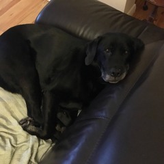 Revolution Of The Dead - Blow Your Mind