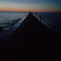 DILEMA (DEMO) Meg Gunia