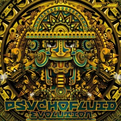 PSYCHOFLUID - EVOLUTION Promo Mix