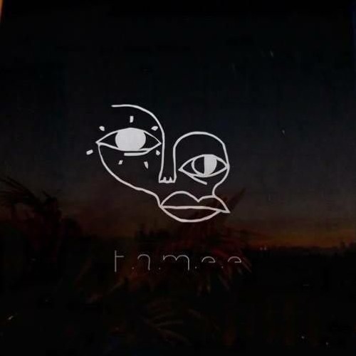 TAMEE ( session 22.10.2016)