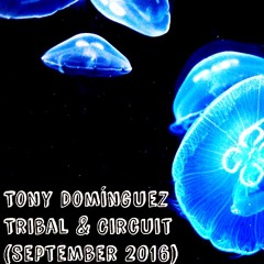 Tony Dominguez - Tribal & Circuit House (September Session)