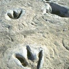 Footprints EDM
