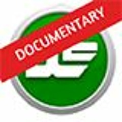 The Morning Sun_ Celtic style acoustic 12 string guitar folk music for licensing