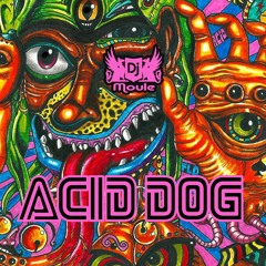 Acid Dog
